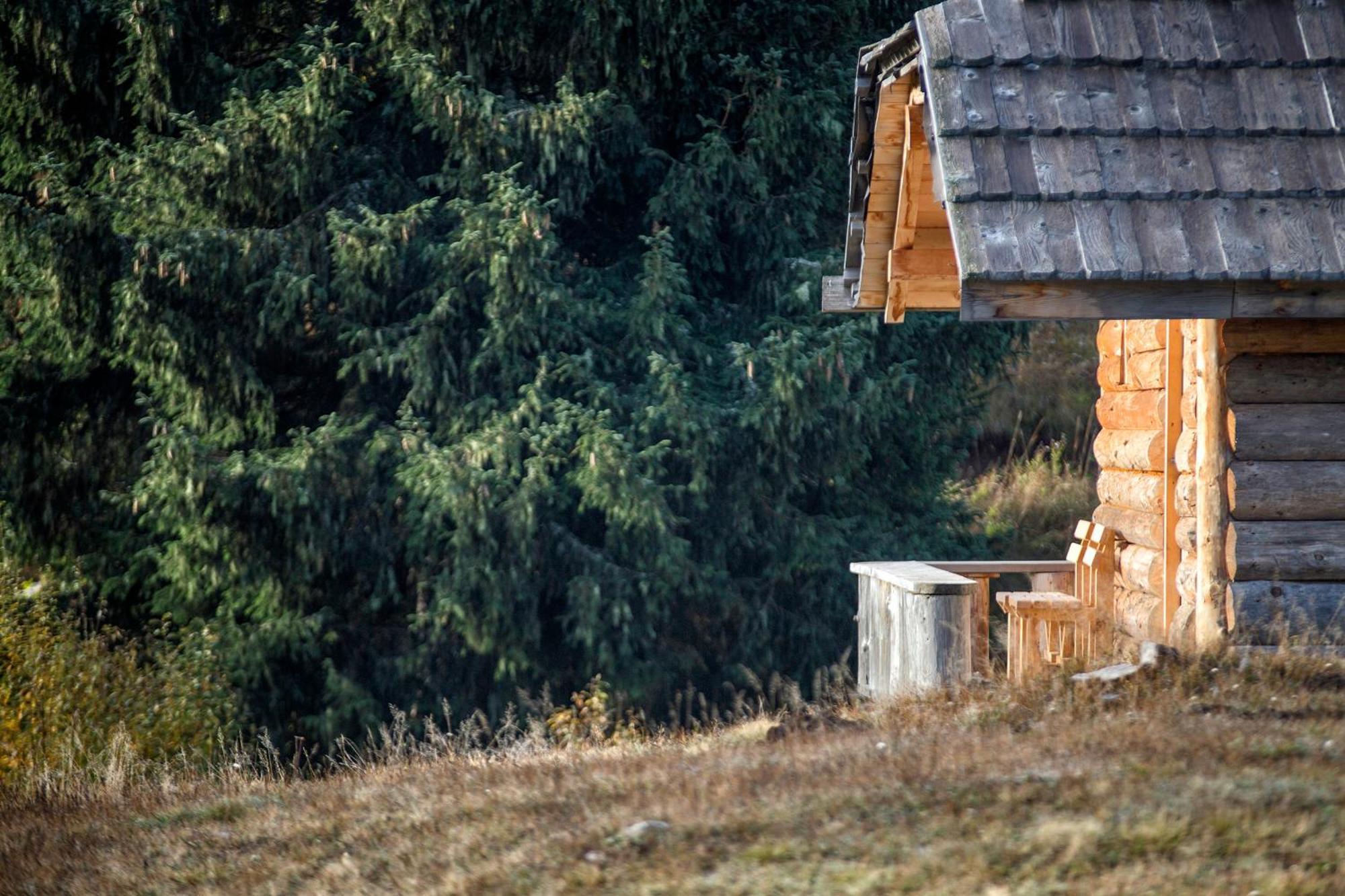 Lodge Nadgora Zabljak  Ngoại thất bức ảnh