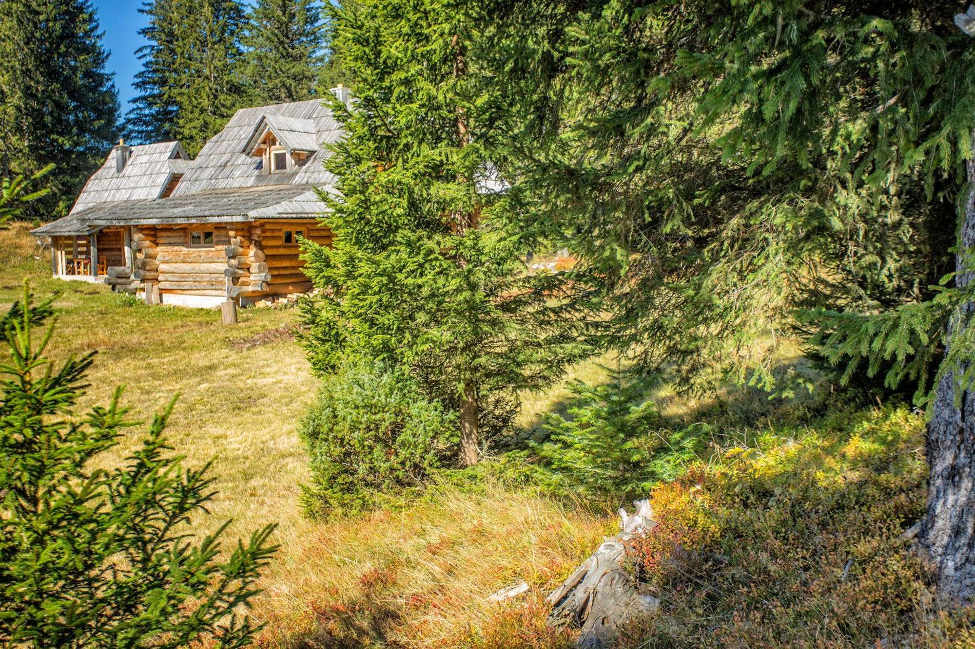 Lodge Nadgora Zabljak  Ngoại thất bức ảnh